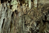 0EFE499C-7C52-4B59-80DB-25A8B3C4FBAD