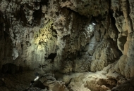 738C047C-E9D3-4D0F-8D22-258284102713