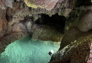 928919F8-9DEC-4916-9884-D9508E8BBE4F