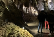 D9976964-E402-463F-8EF1-2FF82CE5F342