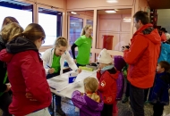 schnBaumer_2019_0011