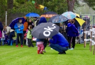 schnBaumer_2019_0027