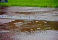 schnBaumer_2019_0052