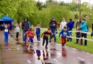 schnBaumer_2019_0098