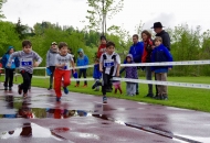 schnBaumer_2019_0106