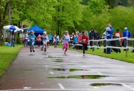 schnBaumer_2019_0120