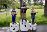 schnBaumer_2019_0229