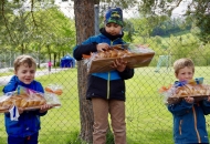 schnBaumer_2019_0230