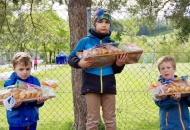 schnBaumer_2019_0232