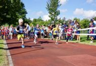 Schn-Baumer-2021__101