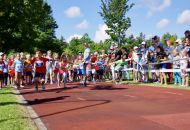 Schn-Baumer-2021__127