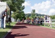 Schn-Baumer-2021__205