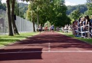 Schn-Baumer-2021__230