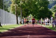 Schn-Baumer-2021__231