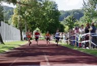 Schn-Baumer-2021__241