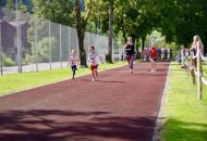 Schn-Baumer-2021__292