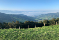 728C4401-CAA5-480F-AF73-1CB82ECAAF62