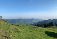 981E6F16-2D5B-44BE-BAC2-3C5FCC6EC239